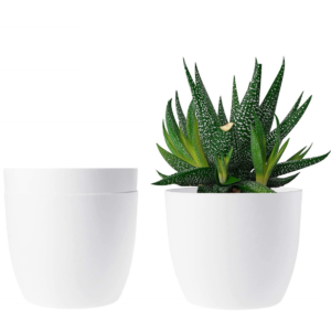 Indoor, Home Decor, Outdoor, Balcony & Garden