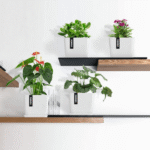 Home White Square Pot Pack Of 4