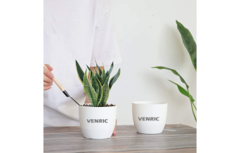 Untitled design (29)