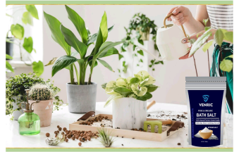 Untitled design (32)